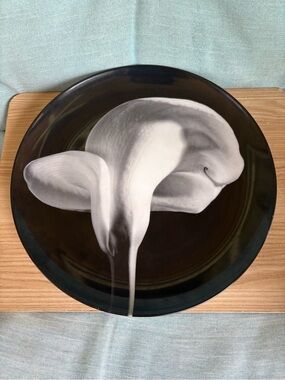 Swid Powell Robert Mapplethorpe Cala Lily 1984 Porcelain 12" Service Plate